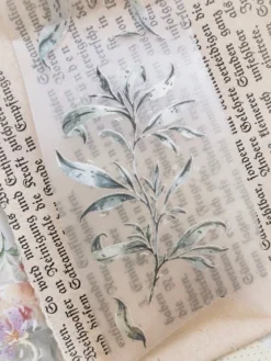 Meow Illustration - Washi Tape - Greenish Herbal Tea (PET) 11 Meow Illustration - Washi Tape - Greenish Herbal Tea (PET)