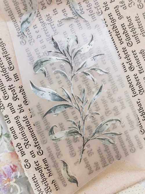 Meow Illustration - Washi Tape - Greenish Herbal Tea (PET) 7 Meow Illustration - Washi Tape - Greenish Herbal Tea (PET)