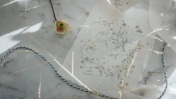 Meow Illustration - Washi Tape - Rose Lover . Me 10 Meow Illustration - Washi Tape - Rose Lover . Me