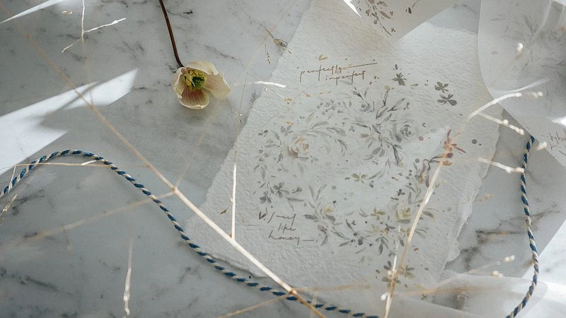 Meow Illustration - Washi Tape - Rose Lover . Me 6 Meow Illustration - Washi Tape - Rose Lover . Me