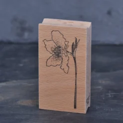 Stempel Jazz - Stamp - Christmas Rose