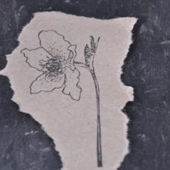 Stempel Jazz - Stamp - Christmas Rose