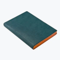 Diaries Daycraft - 2022 Diary - Signature - A5 - Green