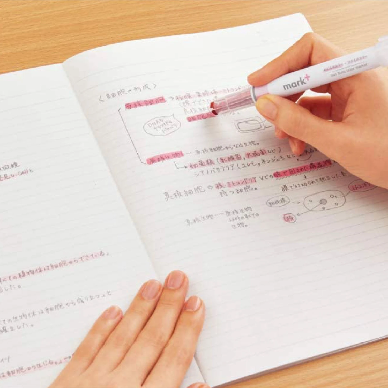 Kokuyo - Highlighter - Mark+ Dual Tone New Arrivals 7 Kokuyo - Highlighter - Mark+ Dual Tone New Arrivals