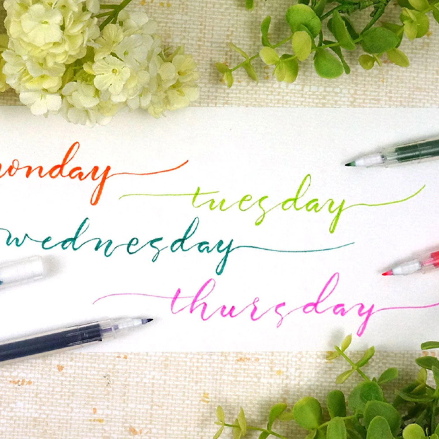 Kuretake - Karappo-Pen (Empty Pen) - Brush Fine - Pack Of 5 6 Kuretake - Karappo-Pen (Empty Pen) - Brush Fine - Pack Of 5