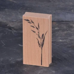 Stempel Jazz - Stamp - Meadow Fescue