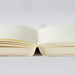 Midori - 2022 Diary - MD 1Day 1Page - A5 Diaries