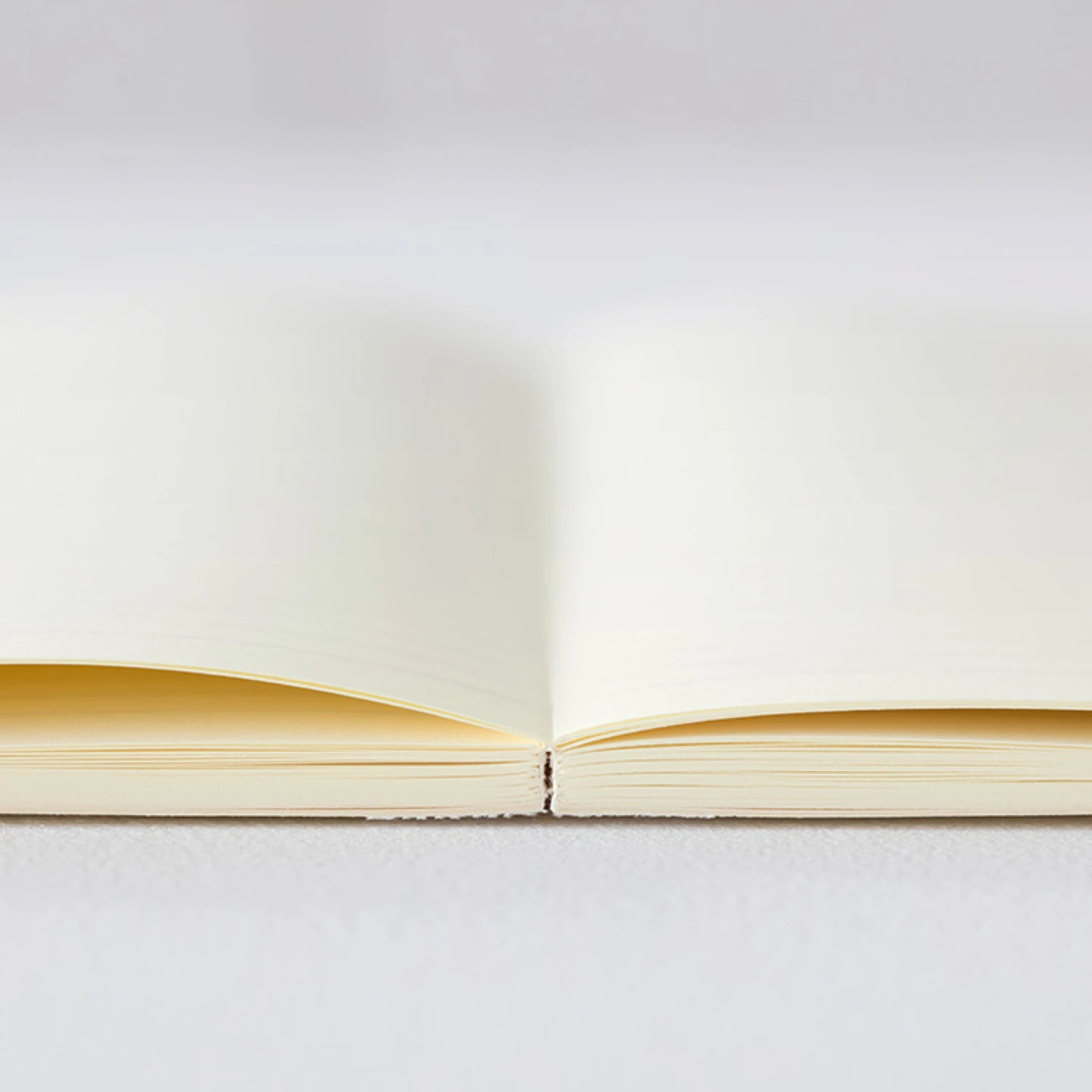 Midori - 2022 Diary - MD Notebook - A5 9 Midori - 2022 Diary - MD Notebook - A5