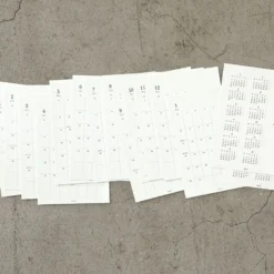 Midori - 2022 Diary - MD Diary Sticker [M]