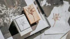 Meow Illustration - Stamp - Bluebell Planner Stamps