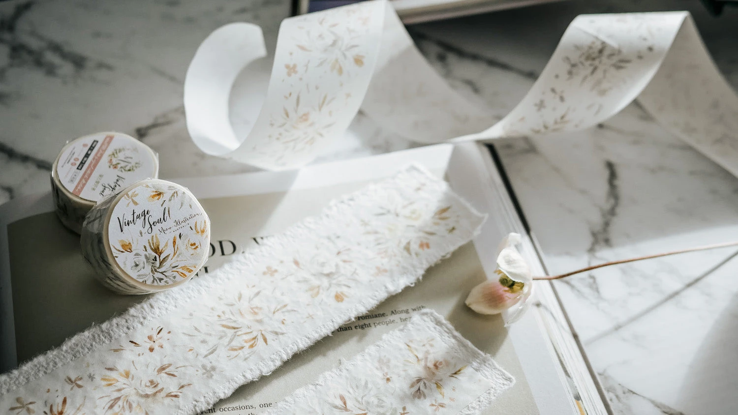 Meow Illustration - Washi Tape - Vintage Soul 6 Meow Illustration - Washi Tape - Vintage Soul