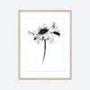Gifts Under $100 Toril Baekmark - Fine Art Prints - Black Flowers No.2 2 Gifts Under $100 Toril Baekmark - Fine Art Prints - Black Flowers No.2