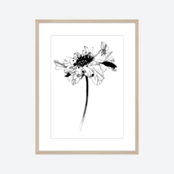 Gifts Under $100 Toril Baekmark - Fine Art Prints - Black Flowers No.2