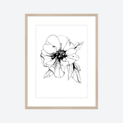 Toril Baekmark - Fine Art Prints - Black Flowers No.4 Gifts Under $100