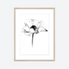 Toril Baekmark - Fine Art Prints - Black Flowers No.5 Gifts Under $100