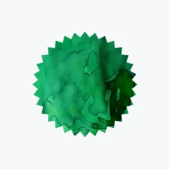 Fountain Pen Inks Robert Oster - Fountain Pen Ink - Signature - Ever Green