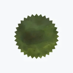 Robert Oster - Fountain Pen Ink - Signature - Eucalyptus Leaf