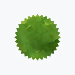 Fountain Pen Inks Robert Oster - Fountain Pen Ink - Signature - Forest Green