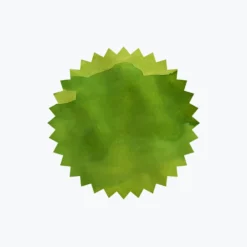 Robert Oster - Fountain Pen Ink - Signature - Jade