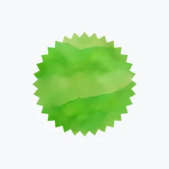 Robert Oster - Fountain Pen Ink - Signature - Light Green Fountain Pen Inks