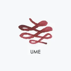 Fountain Pen Inks Sailor - Fountain Pen Ink - Manyo II 50ml - Ume