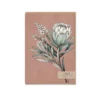 Cards Typoflora - Card - Protea