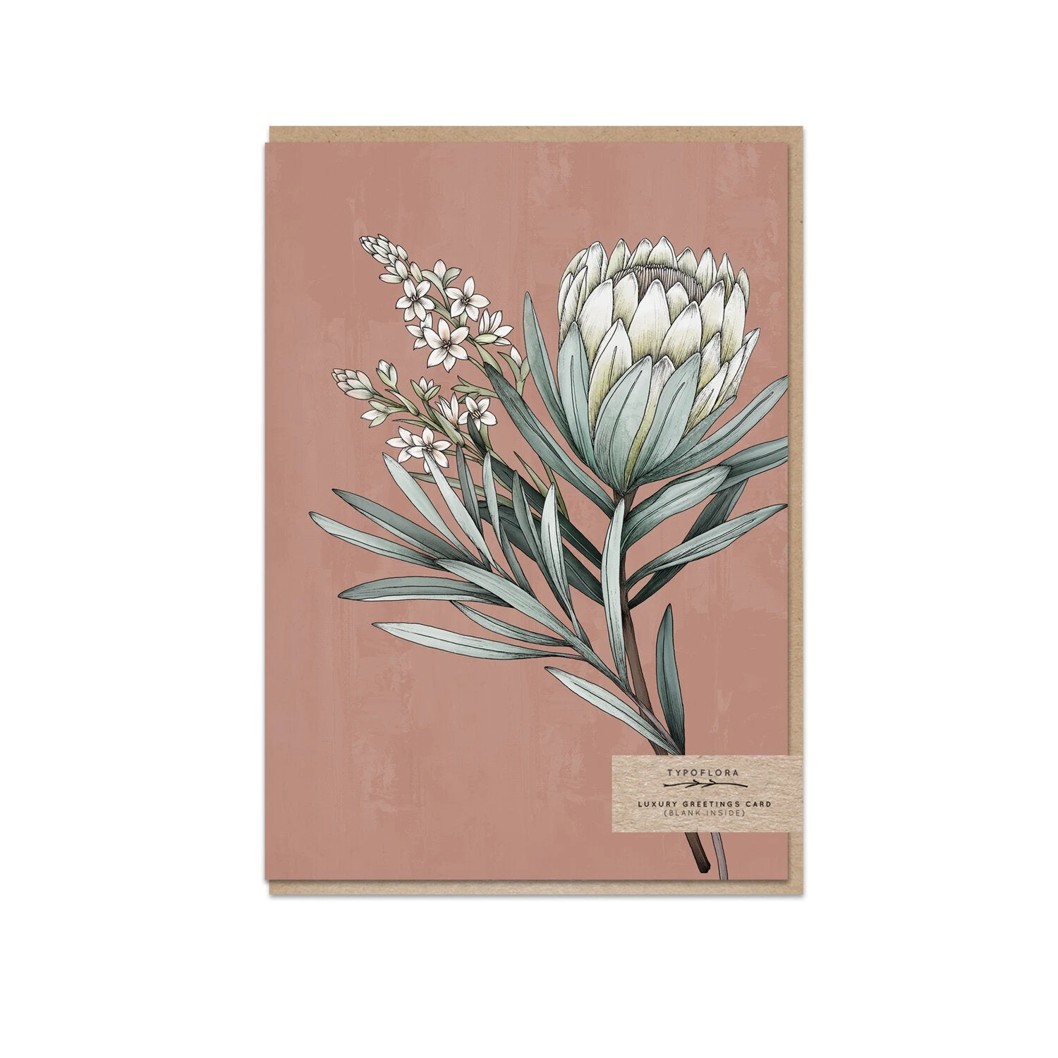 Cards Typoflora - Card - Protea 2 Cards Typoflora - Card - Protea