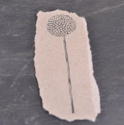 Stempel Jazz - Stamp - Timpani