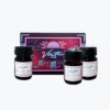 Vinta - Fountain Pen Ink - Capsule Collection - Neon Fountain Pen Inks 1 Vinta - Fountain Pen Ink - Capsule Collection - Neon Fountain Pen Inks