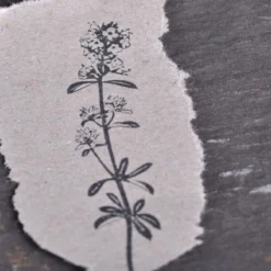 Planner Stamps Stempel Jazz - Stamp - Wild Oregano