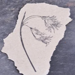 Planner Stamps Stempel Jazz - Stamp - Cottongrass