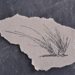 Stempel Jazz - Stamp - Beach Grass