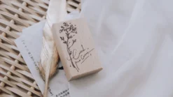 Meow Illustration - Stamp - Count The Colour