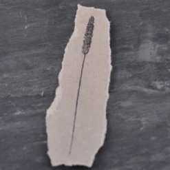 Planner Stamps Stempel Jazz - Stamp - Meadow Foxtail