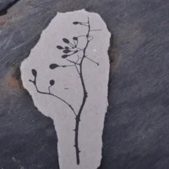 Planner Stamps Stempel Jazz - Stamp - Rosehip Branch